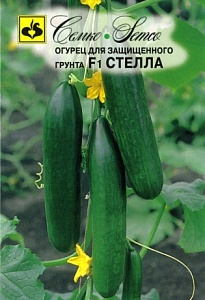 Огурец Стелла F1 5шт (Семко) раннеспелый