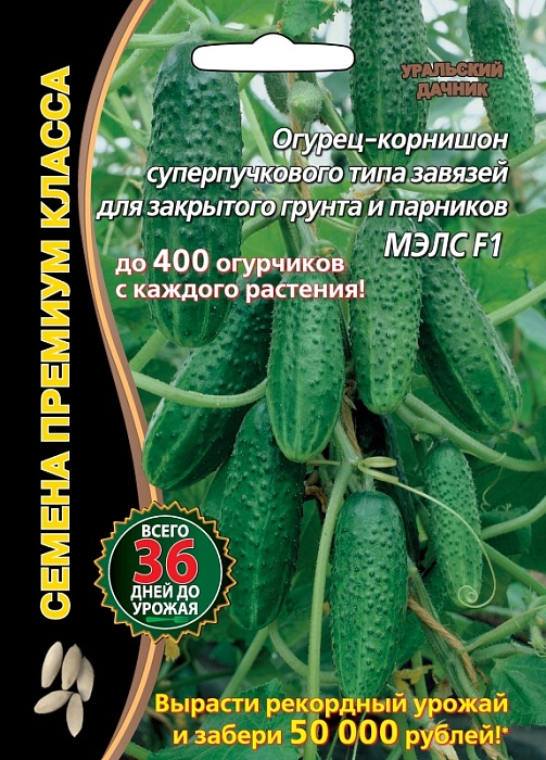 Огурец Мэлс F1 5шт ц/п б/ф (УД) корнишон 