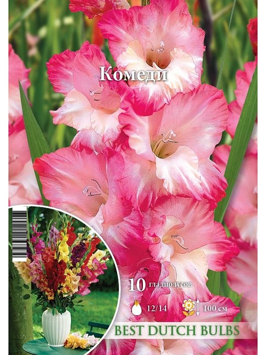 Гладиолус Комеди 12/14 (НК) (10шт/уп)
