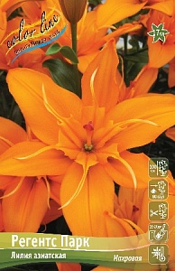 Лилия Регентс Парк 12/14 1шт (КолЛайн) 5шт/уп