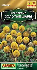 Краспедия Золотые шары 0,05г ц/п (Аэлита)