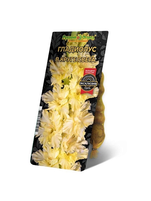 Гладиолус В круге света 10/12 1шт (НК) 5шт/уп