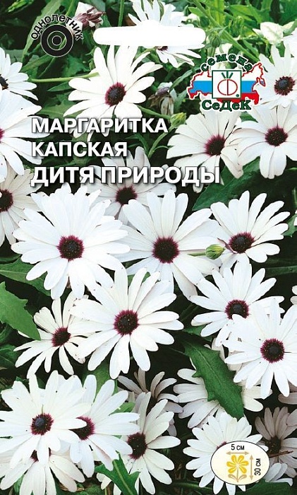 Маргаритка Дитя природы 0,1г ц/п (Седек) 
