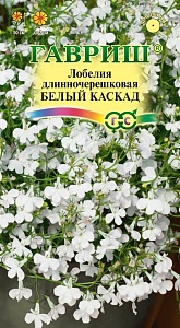 Лобелия Белый каскад 0,01г ц/п (Гавриш) ампельная