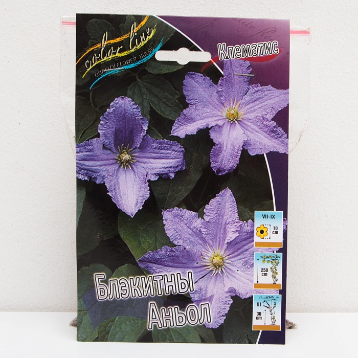 Клематис Блэкитны Аньол 1шт (КолЛайн) 2шт/уп
