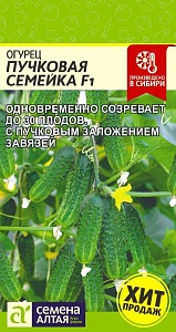 Огурец Пучковая семейка F1 5шт ц/п (СемАлт) ранний,партеник