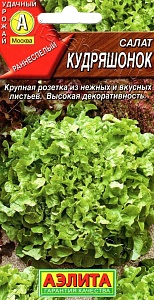 Салат Кудряшонок 0,5г ц/п (Аэлита)