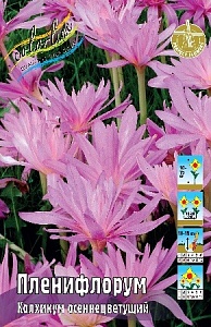 Колхикум Пленифлорум 13/+ 1шт (КолЛайн)