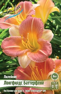 Лилейник Лонгфилдс Баттерфляй 1шт (КолЛайн)