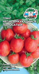 Томат Непасынкующийся Полосатый 0,1г ц/п (Седек)