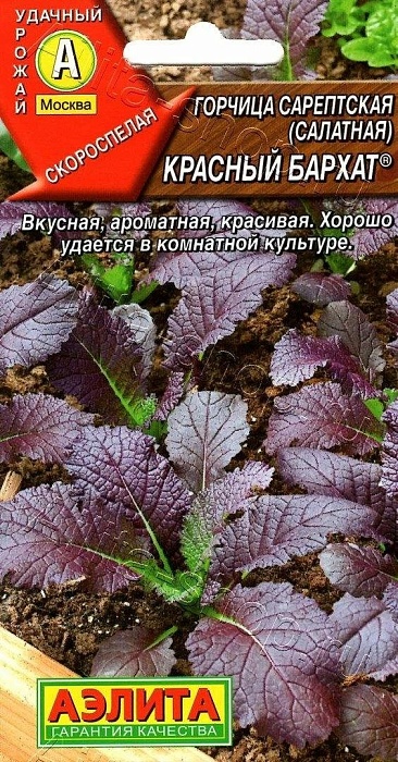 Горчица Красный бархат салатная 0,5г ц/п (Аэлита) 