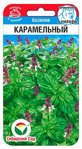 Базилик Карамельный 0,5г (СибСад)