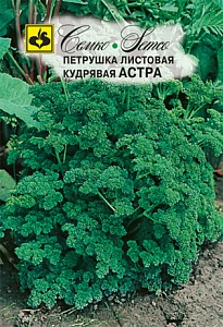 Петрушка кудрявая Астра 2г (Семко)