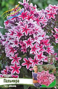 Флокс Пальмира 1шт (КолЛайн) 2шт/уп
