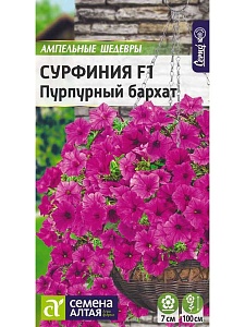 Сурфиния Пурпурный бархат 5шт ц/п (СемАлт)