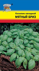 Базилик Мятный бриз 0,2г ц/п (УУ)