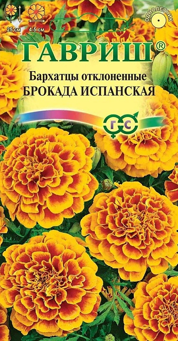 Бархатцы Брокада испанская 0,3г ц/п (Гавриш) 25см 4-5см откл.