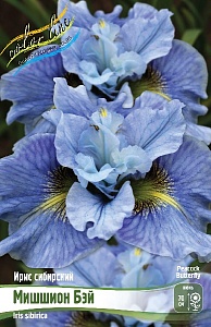 Ирис сибирский Мишшион Бэй 1шт (КолЛайн)