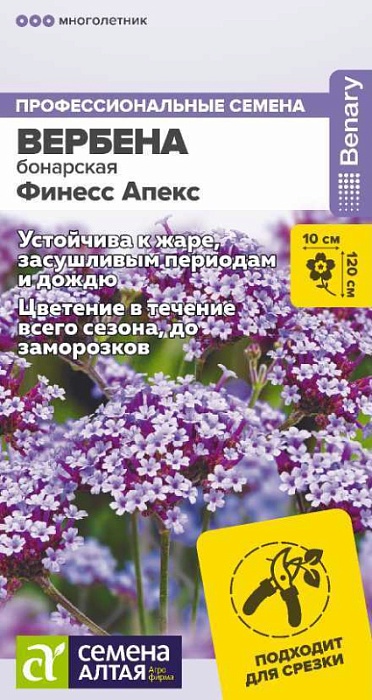 Вербена Финесс Апекс бонарская 0,05г ц/п (СемАлт) 
