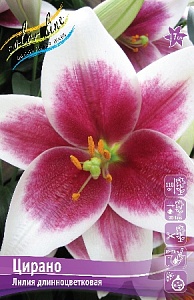 Лилия Цирано 12/14 1шт (КолЛайн) 5шт/уп