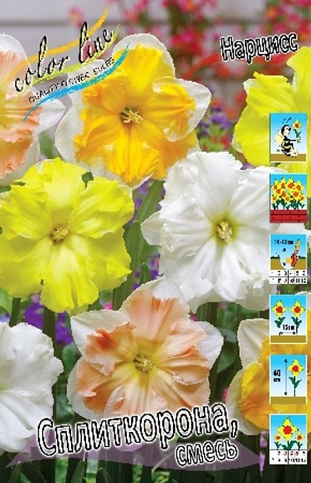 Нарцисс Сплиткорона, смесь 1шт (КолЛайн) 3шт/уп