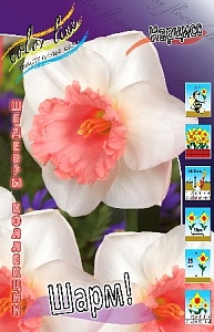 Нарцисс Шарм 1шт (КолЛайн) 3шт/уп