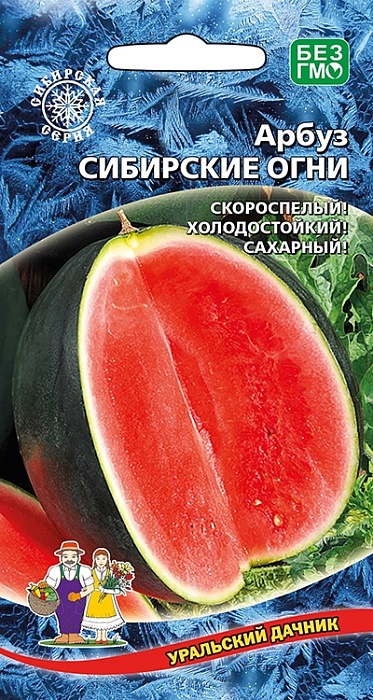 Арбуз Сибирские Огни 10шт ц/п (УД) скороспелый 2,5-5кг