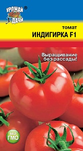 Томат Индигирка F1 0,1г ц/п (УУ)