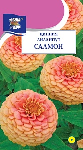 Цинния Лиллипут Салмон ц/п 0,3г (УУ) 45см