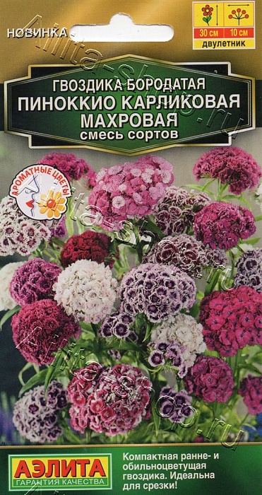 Гвоздика турецкая Пиноккио, карликовая махровая 0,1г ц/п (Аэлита) Новинка