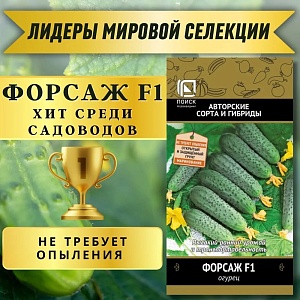 Огурец Форсаж F1 12шт ц/п (Поиск)