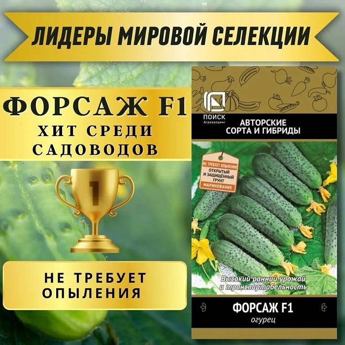 Огурец Форсаж F1 12шт ц/п (Поиск)