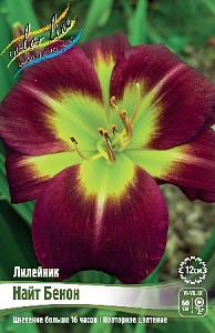 Лилейник Найт Бэкон 1шт (КолЛайн)