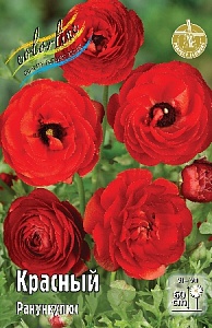 Ранункулюс Красный 1шт (КолЛайн) 10шт/уп