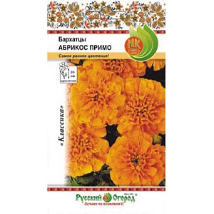 Бархатцы Абрикос Примо 0,2г ц/п (НК) 20см