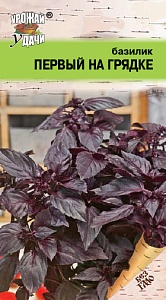 Базилик Первый на грядке 0,2г ц/п (УУ)