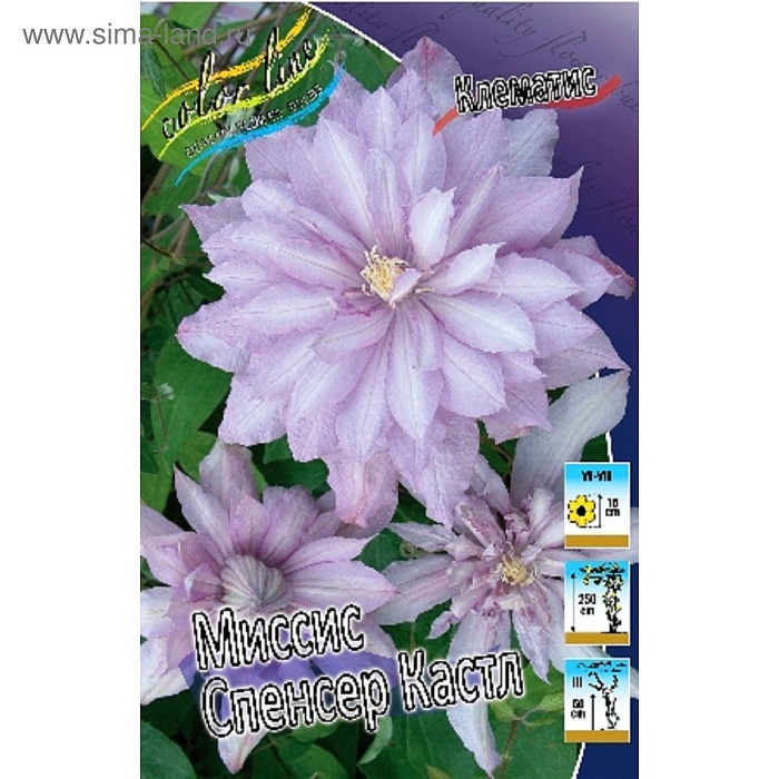 Клематис Миссис Спенсер Кастл 1шт (КолЛайн) 2шт/уп