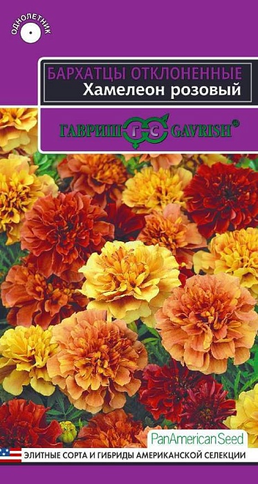 Бархатцы Хамелион розовый 5шт ц/п (Гавриш) отклон.