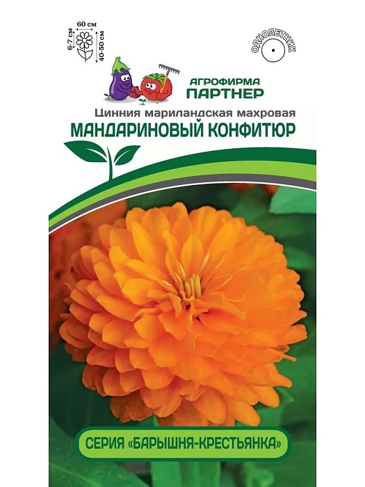 Цинния Мандариновый конфитюр 5шт (Партнер)