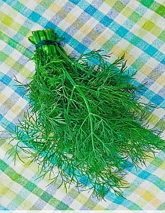 Укроп Обильнолиственный 2г б/п (УУ)