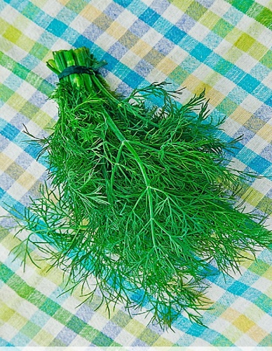 Укроп Обильнолиственный 2г б/п (УУ)