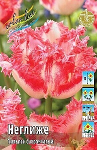 Тюльпан Неглиже 1шт (КолЛайн) 7шт/уп