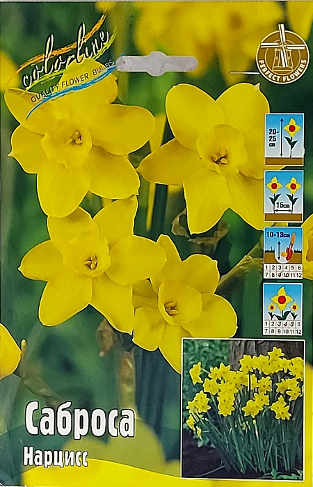 Нарцисс Саброса 1шт (КолЛайн) 10шт/уп