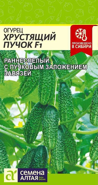Огурец Хрустящий пучок F1 5шт ц/п (СемАлт)