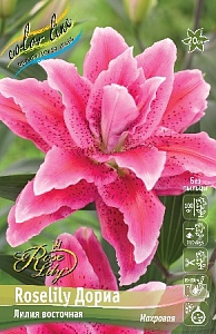Лилия Roselily&Дориа 12/14 1шт (КолЛайн)