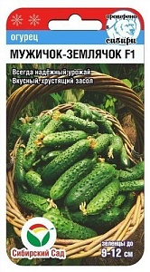 Огурец Мужичок-землячок F1 7шт (СибСад) Новинка