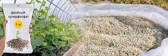 Суперфосфат двойной 1кг (Агро-Хаус) 5/30