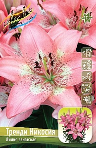 Лилия Тренди Никосия 10/12 1шт (КолЛайн) 7шт/уп