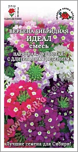 Вербена Идеал гибридная 0,1г ц/п (З/Сотка)