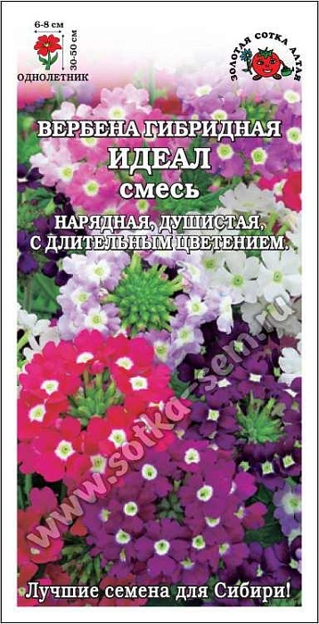 Вербена Идеал гибридная 0,1г ц/п (З/Сотка)